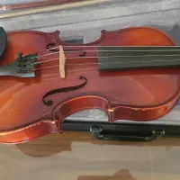 ویولن ۱/۴|ویولن|فردیس, نسترن غربی|دیوار