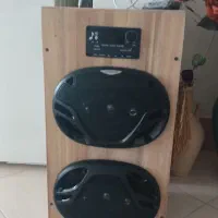 یک عدد اسپیکر دست ساز