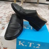 کفش مجلسی|کیف، کفش، کمربند|گلستان (تهران), |دیوار