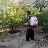 کلیه خدمات باغبانی سمپاشی تعویض گلدان سمپاشی سوسک