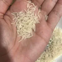 برنج درجه یک فجر علی آباد