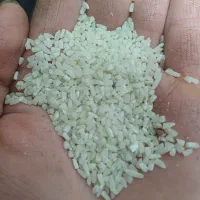 برنج ایرانی شکسته
