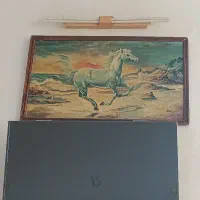 تابلو کلکسیونی تک