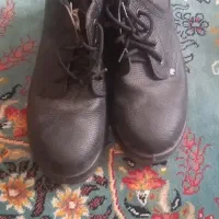 کفش ایمنی|کیف، کفش، کمربند|آبدانان, |دیوار