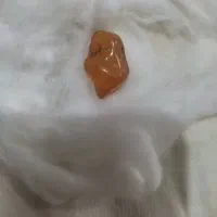 کهربای زنده