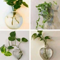 گلدان دیوار کوب۰دیوار کوب دونه ای125000 تومان