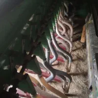 ردیفکار وخرمن کوب|قطعات یدکی و لوازم جانبی|سارال, |دیوار