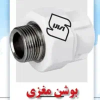 بوشن مغزی استاندارد