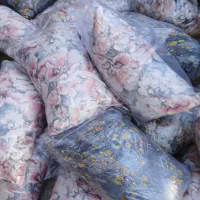 بالشت و تش ک تعاونی