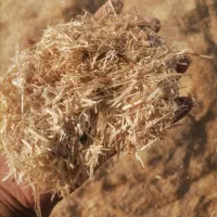 کاه گندم