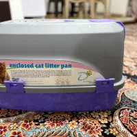 ظرف خاک گربه