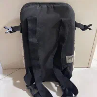 آغوش سگ