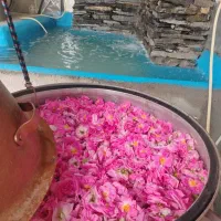 فروش گلاب کلی وجزئی