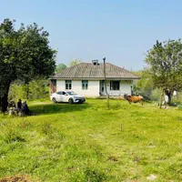 مثه این زمین نداریم خدایش تو گیلان صفر جنگل