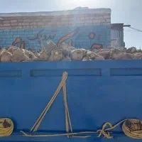 چغندر قندی. کاه و سبوس برنج|خدمات باغبانی و درختکاری|طاغنکوه, |دیوار