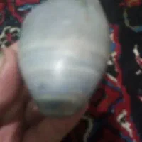 سنگ کلکسیونی