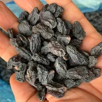 پخش عمده کشمش و مویز ( ارمی )|عمده‌فروشی|شیراز, ستارخان|دیوار