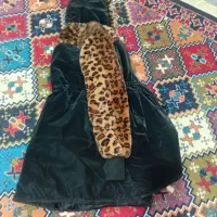 پالتو پلنگی