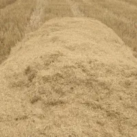 کاه گندم آبی کوبیده شده نیک نیک