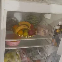 دوتا یخچال بادی|یخچال و فریزر|باوی, |دیوار