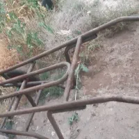 گاری دو چرخ سالم