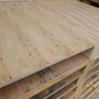 پالت چوبی وارداتی و تخته هفت لایی|مصالح و تجهیزات ساختمان|رشت, فلسطین|دیوار