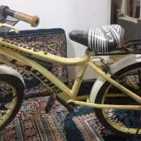 دوچرخه 20