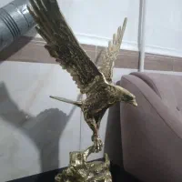 یک عدد عقاب برنزی