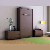 تختخواب تاشو دیواری DL105|تخت و سرویس خواب|تهران, دانشگاه شریف|دیوار