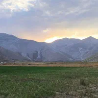 گلپر تمیز و تازه دماوند ( دشت لار )|خوردنی و آشامیدنی|تهران, مسگرآباد|دیوار