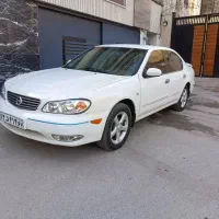 استخدام نیروی کارواش