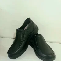 کفش مردانه pasargad