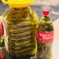 خیارشور