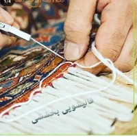 قالیشویی بومهن جاجرود گیلاوند ابعلی دماوند و پردیس|خدمات نظافت|دماوند, گیلاوند|دیوار