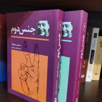 رمان ، کتاب های جنس دوم و مرگ ایوان ایلیچ