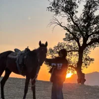 اسب سواری کوهدشت (مجموعه تفریحی)|خدمات آموزشی|کوهدشت, |دیوار