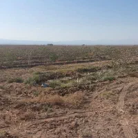 مشاوره کشت و کار ارگانیک|گل و گیاه طبیعی|مشهد, کلاهدوز|دیوار