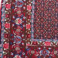 فرش دستباف|فرش|سنندج, |دیوار