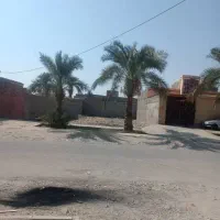 زمین-فروشی-سرزه-خیابان-محمدعلی-پشتدار7