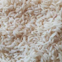 برنج علی کاظمی درجه یک بشرط پخت چقلوندی|خوردنی و آشامیدنی|بیرانوند, |دیوار