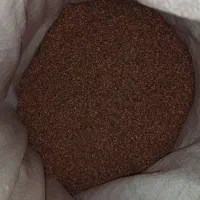 فروش بذر جو آبی بهمن پایه کوتاه و بذر گندم پیشگام|خدمات باغبانی و درختکاری|اسدآباد, |دیوار