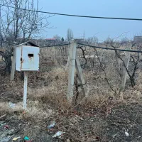 باغ-مجوزدار-گازروشن-در-امامزاده