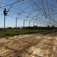 ساخت انواع سازه گلخانه(صفرتاصد،نقد و اقساط)|عمدهفروشی|شهرکرد, |دیوار