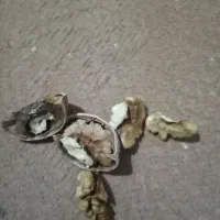 گردوامسال|خوردنی و آشامیدنی|نهاوند, |دیوار