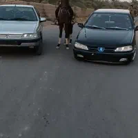 اسب عرب|اسب و تجهیزات اسبسواری|بم, |دیوار