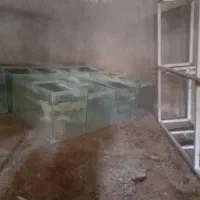 آکواریوم شیشه 6میل سکوریت|ماهی|کنگاور, |دیوار