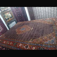 فرش دستباف قسطی|فرش|تهران, میدان ولیعصر|دیوار