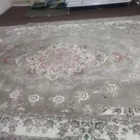 دو عدد فرش ماشینی 12متری 700شانه(قالی)|فرش|شیراز, کفترک|دیوار