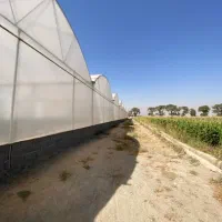 فروش زمین گلخانه‌ای زنان متراژ 7100متر|فروش دفتر صنعتی، کشاورزی، تجاری|قدس, زرنان پایین|دیوار