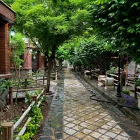 نیرو باغ رستوران دنج|استخدام خدمات فروشگاه و رستوران|قم, شهر قائم|دیوار